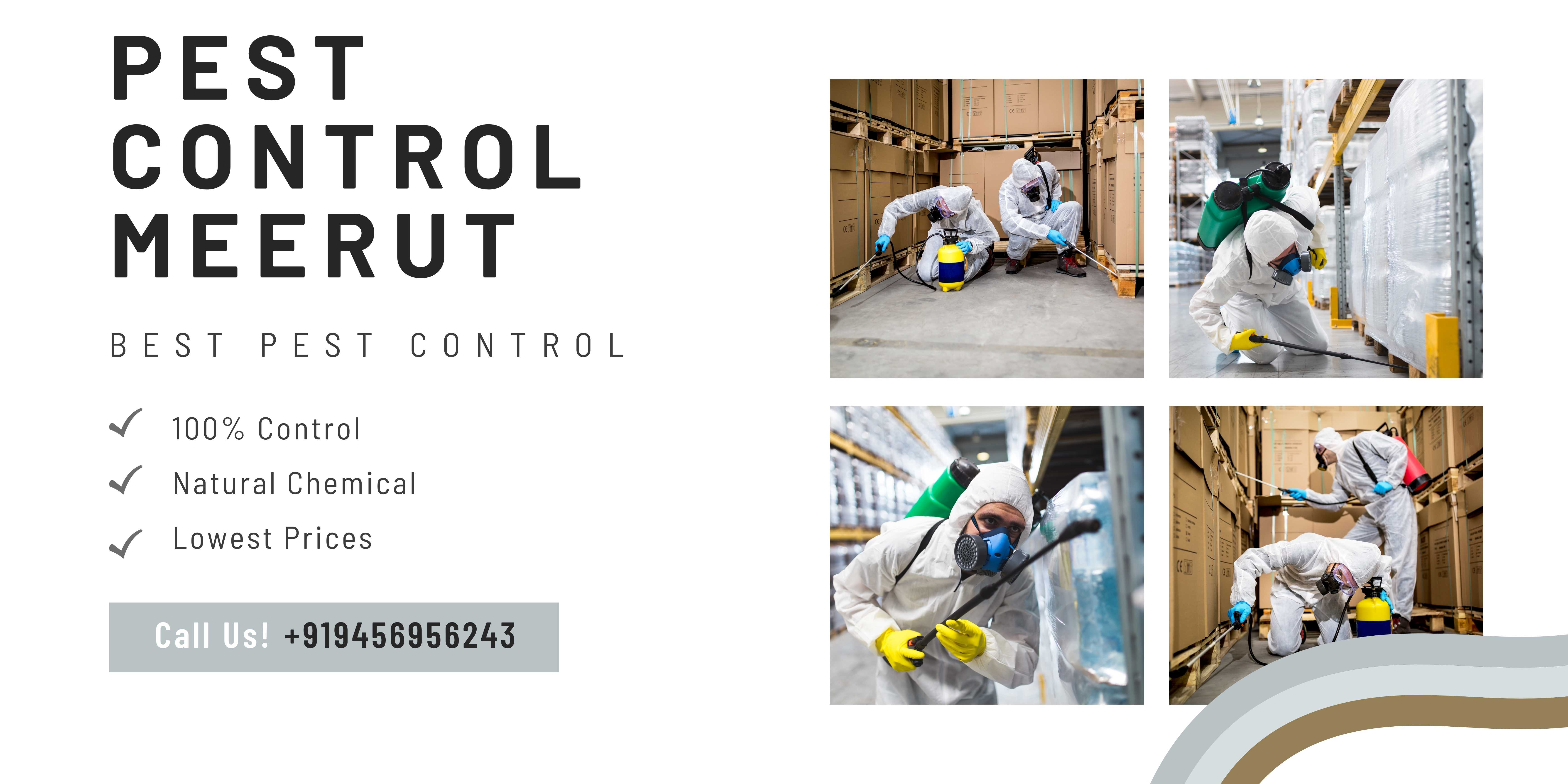Best Pest Control In Meerut